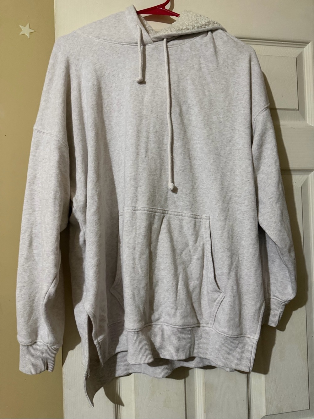 American Eagle Outfitters Light Gray Sherpa-Lined Hooded Sweatshirt
